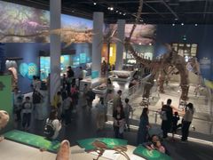 -国家自然博物馆