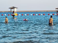 -碧海金沙
