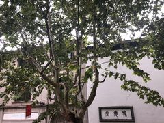 -猫的天空之城概念书店(杭州南宋御街店)