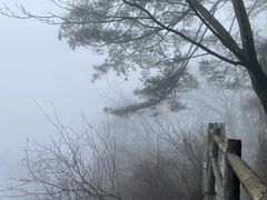 -牛背梁国家森林公园