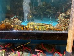 -聚鑫阁江浙菜·非遗传承技艺(青村帝华园店)