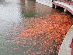 -西海子公园