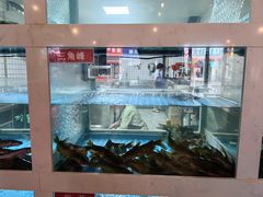 -石锅苗苗鱼(武汉首店)
