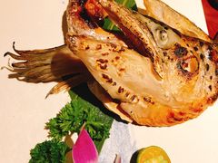 -熊藏居酒屋(kkone店)