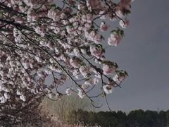 -潜龙渠公园