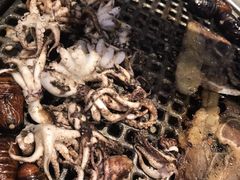-韩盛炭火烤肉(万达广场店)