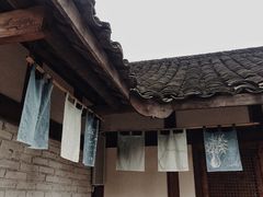 -秀丽东方