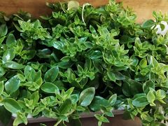 -柳州菜饮食文化博物馆