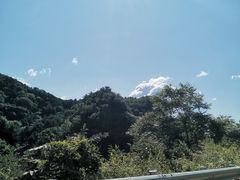 -六里坪国家森林公园
