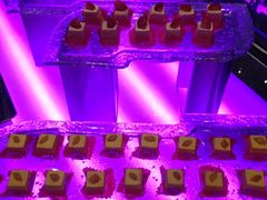 -热带雨林汗蒸馆(汶水东路店)