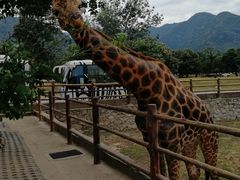 -西安秦岭野生动物园