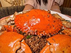 -喜记避风塘炒辣蟹(旗舰店)