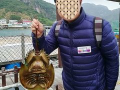 -南丫岛
