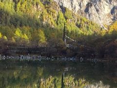 -稻城亚丁景区-冲古草甸