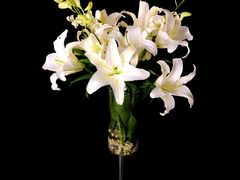 -满园春酒楼(庐江路店)