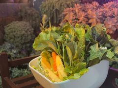 -山菌美食苑(振兴路店)