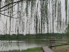-西青郊野公园