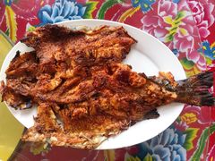 烤虹鳟鱼-何适山庄 ·可团建(水长城P2停车场店)