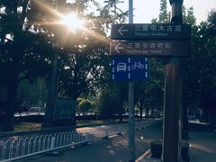 -三里屯东五街银杏大道