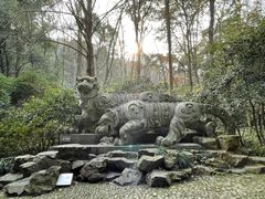 -虎跑公园