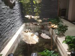 -华夏良子·足道SPA艾灸(方庄一店)
