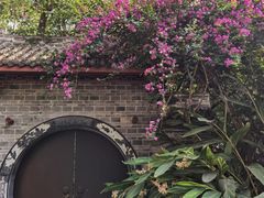 -桂湖森林公园