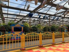 -南宫五洲植物乐园