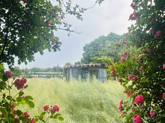 -洪湖家庭农场·团建·露营·会议