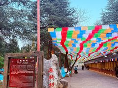 -云南民族村