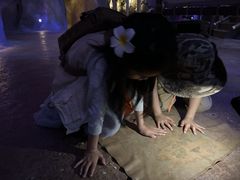 -杭州开元森泊度假乐园