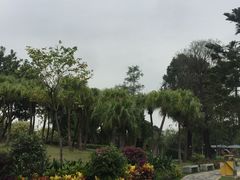 -海珠儿童公园