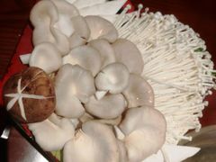 -1078號老北京涮肉(松柏店)