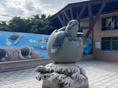 -广东惠东海龟国家级自然保护区