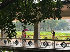 -荔湾湖公园