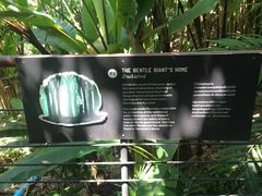 -自然餐厅(Phuket)
