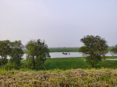 -湖南东洞庭湖国家级自然保护区