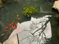 -慧娟面馆·餐厅(望江路店)