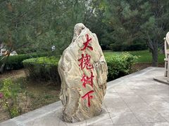 -大槐树寻根祭祖园