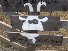 -前小桔亲子创意农场·草莓采摘·露营烧烤