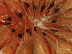 -田大厨海鲜超市(万豪店)