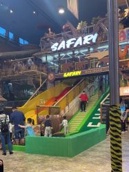 -卡通尼·Safari非洲探索乐园·生日会(金桥国际商业广场店)