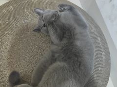 -宠颐生宠物医院外科·内科·皮肤科·影像科(石龙店)