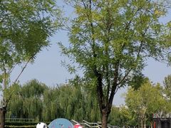 -莲花池公园