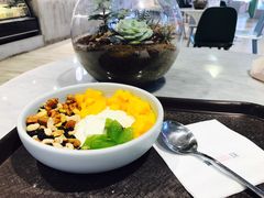 酸奶菜菜s-宝珠奶酪(浦东金桥店)