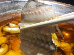 -雲蜀龙阁·金牌水煮鱼(方庄店)