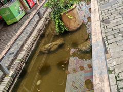 -茯茶镇