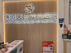 -瑞派·关忠动物医院·猫专科·犬专科(三环新城店)