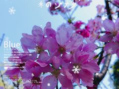 -桃花涧