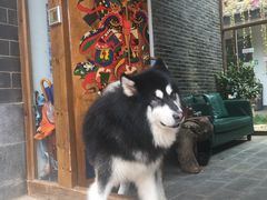-浔岚云舍mist静谧观景美宿(丽江古城店)