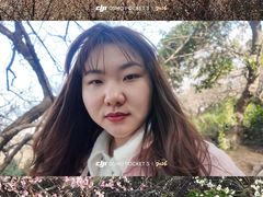 -香雪海